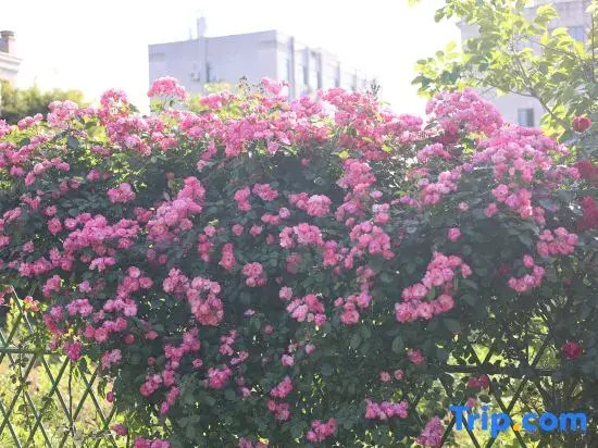 Tiantai Xianting Homestay (Tiantai Mountain Scenic Area)