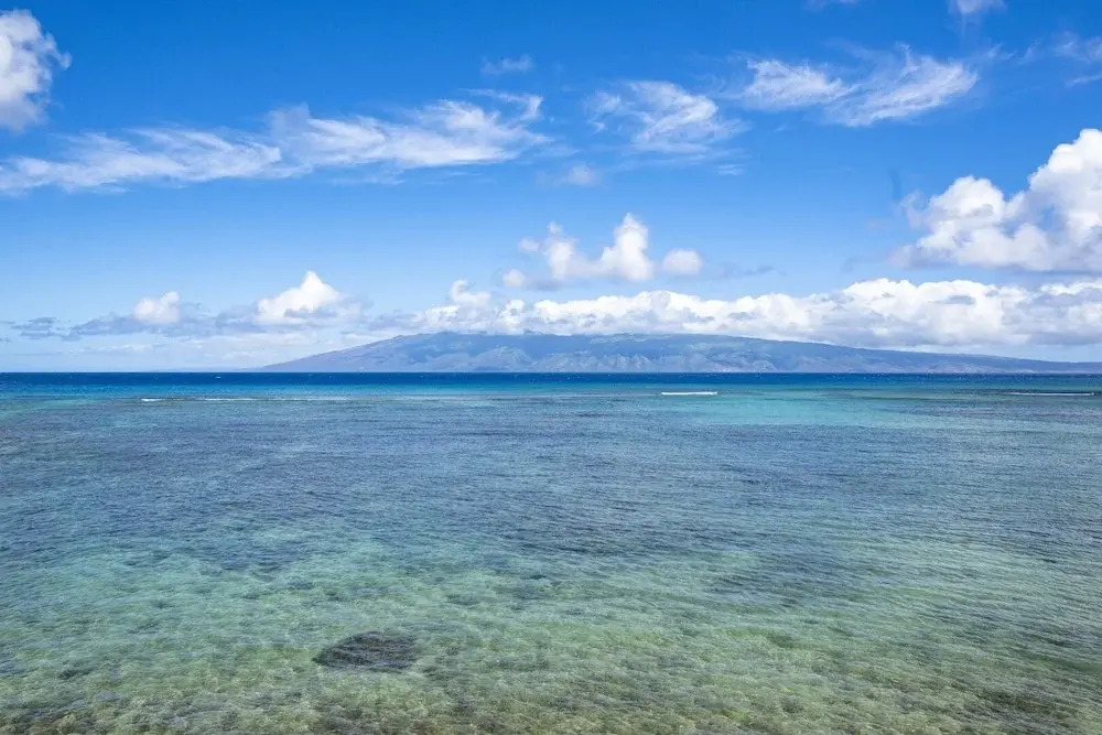 Kahana Reef 320