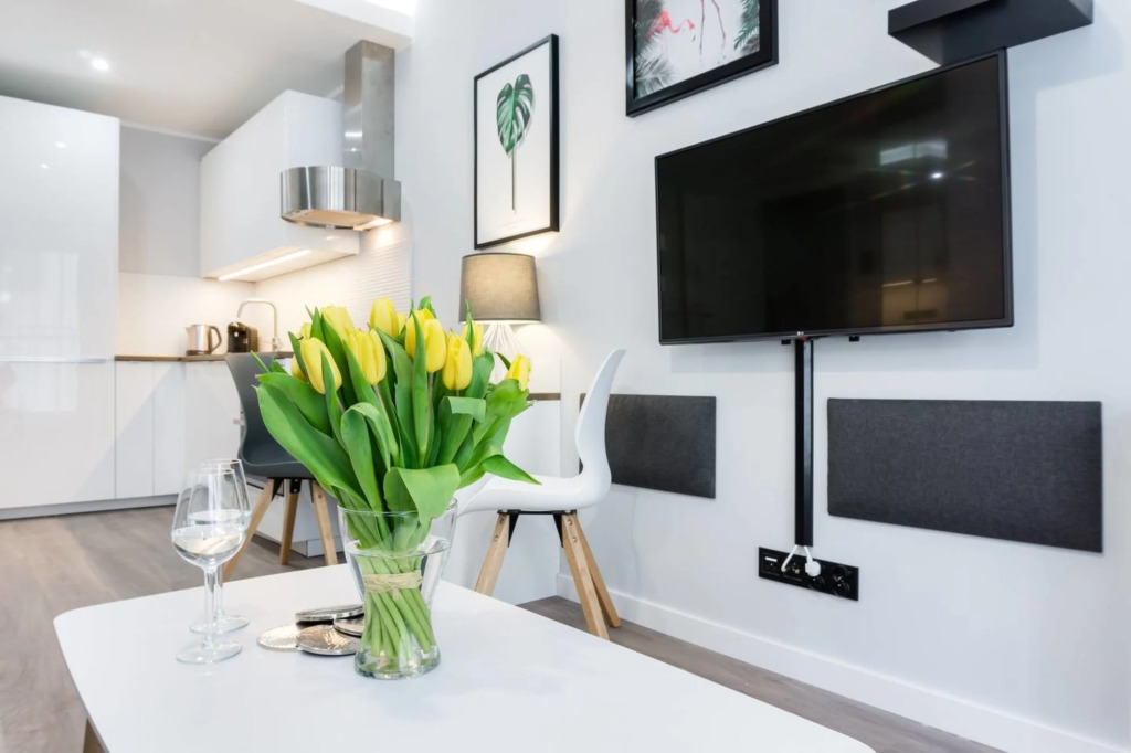 Modern Studio Apartment