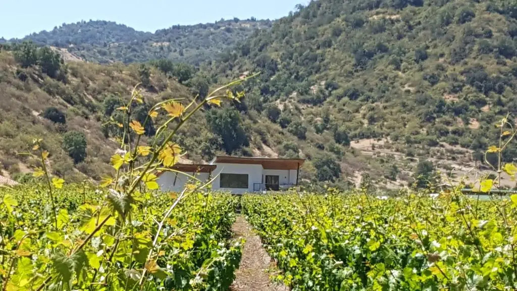 Callihue Lodge