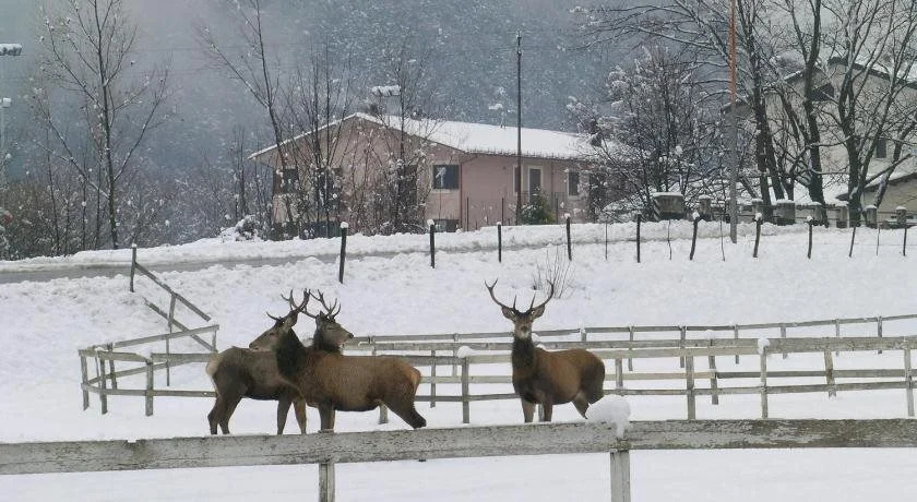 Les Chalets B&B