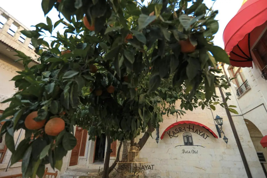 Kasr-ı Hayat