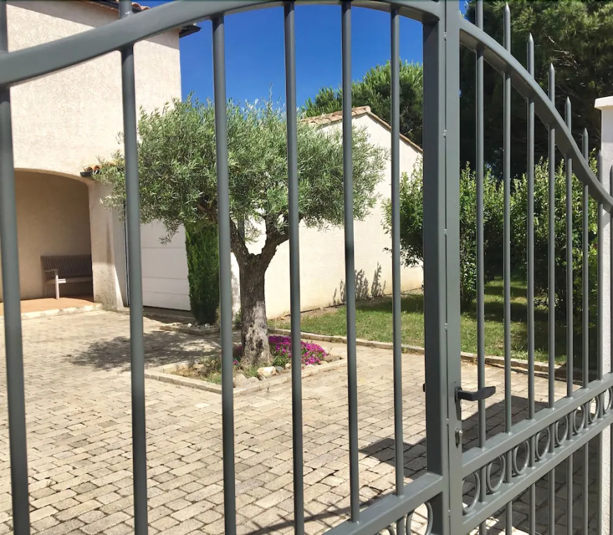 Cyprès et Galets
