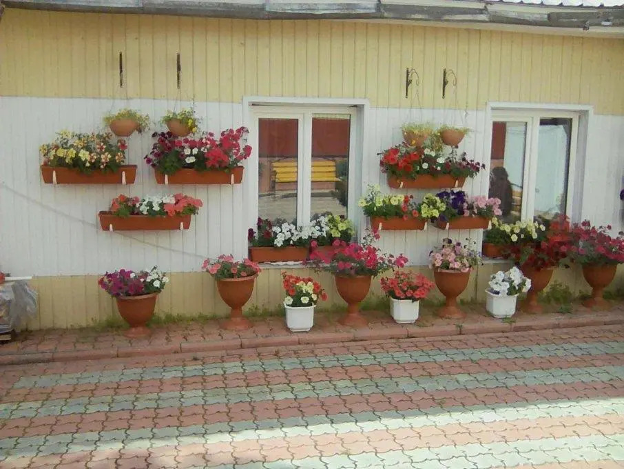 Восход