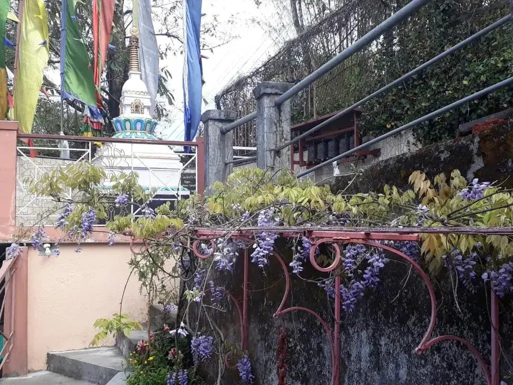 Little Singamari Home Stay