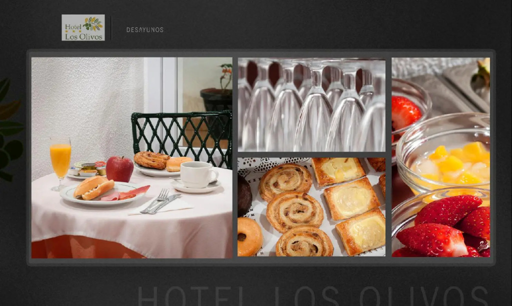 Hotel Los Olivos
