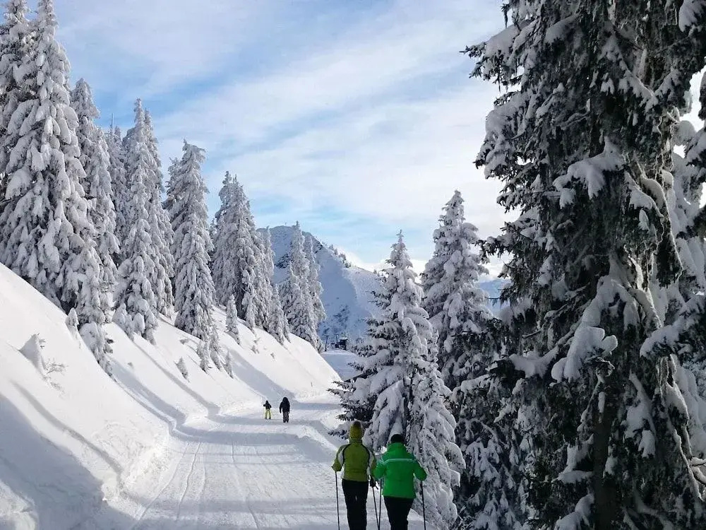 AlpenParks Apartment & Ferienresort Rehrenberg Viehhofen