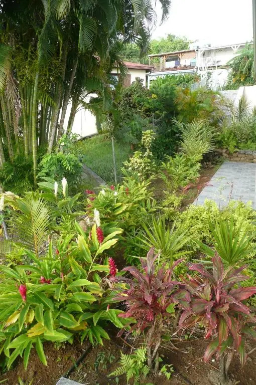 Douceurs Caraïbes, Gîte Cannelle