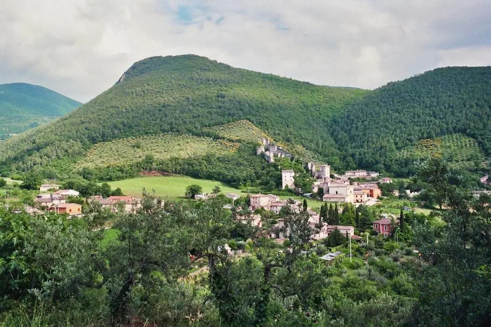 Agriturismo L'Ulivo