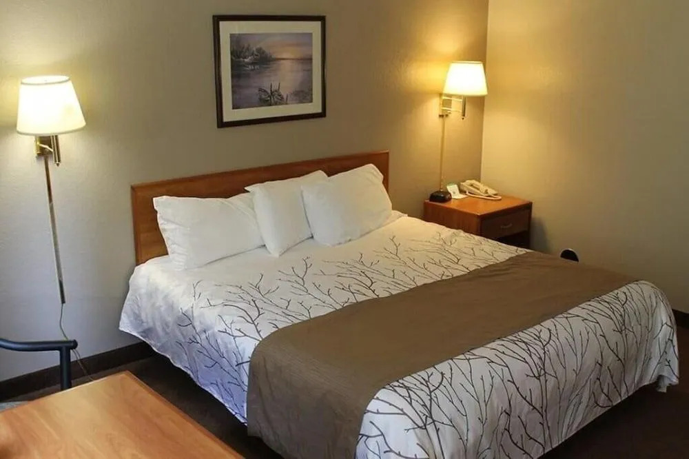 Edmore Inn