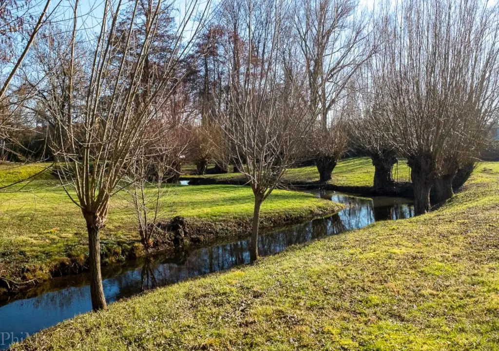 au-dessus du jardin appartement climatisé