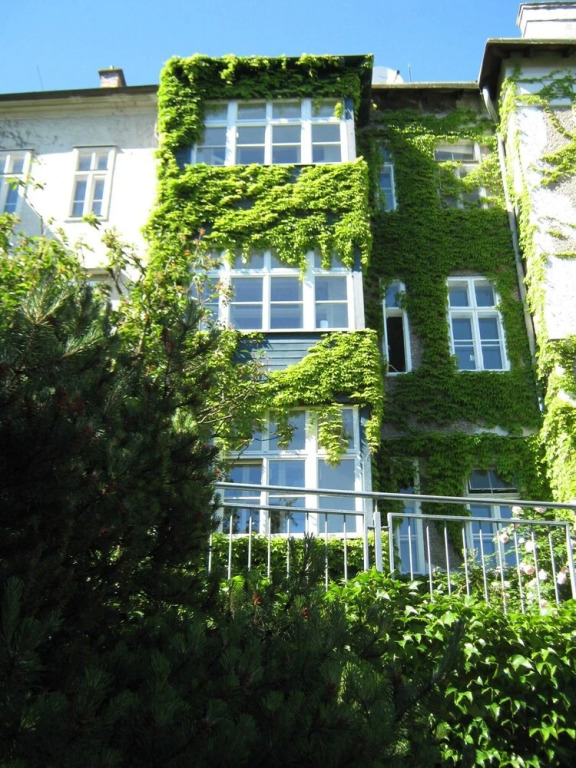 Retro Vienna
