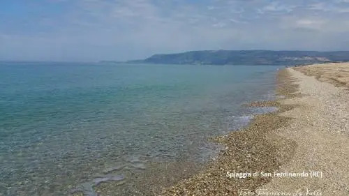 Rosa Di Mare