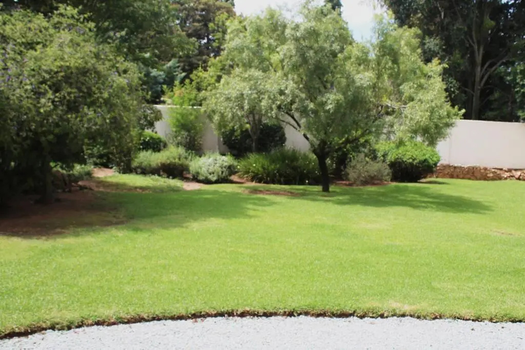 Charming 2 bed in Rosebank's trendy art mile.