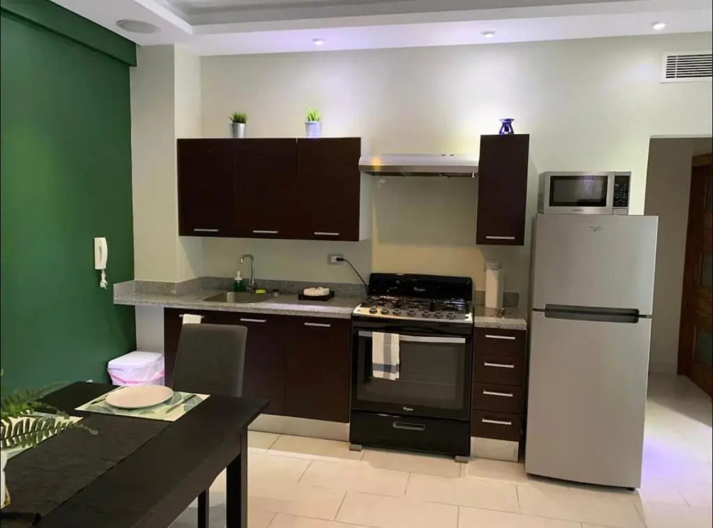 Cozy Apartament in Serrallés/Piantini #1