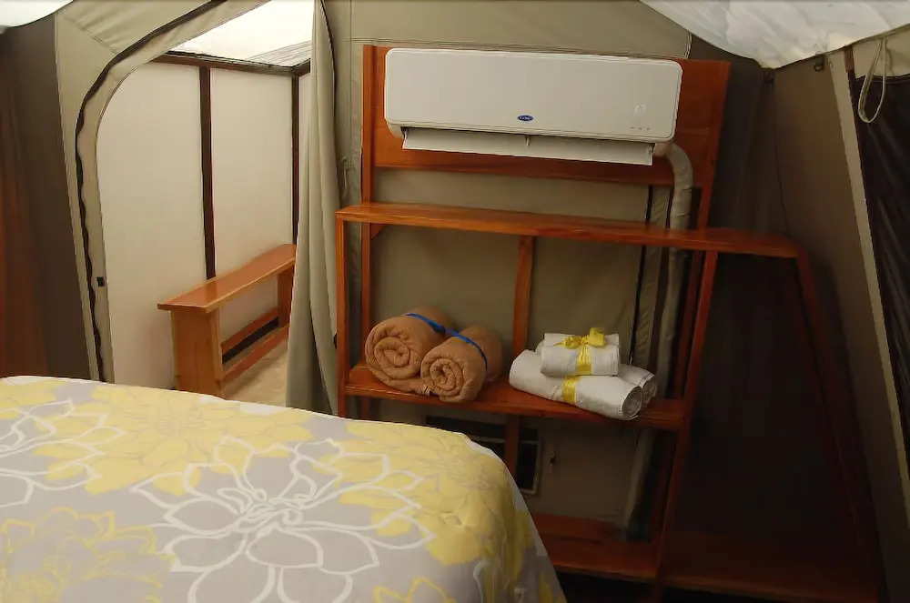 Rhincodon Typus Glamping