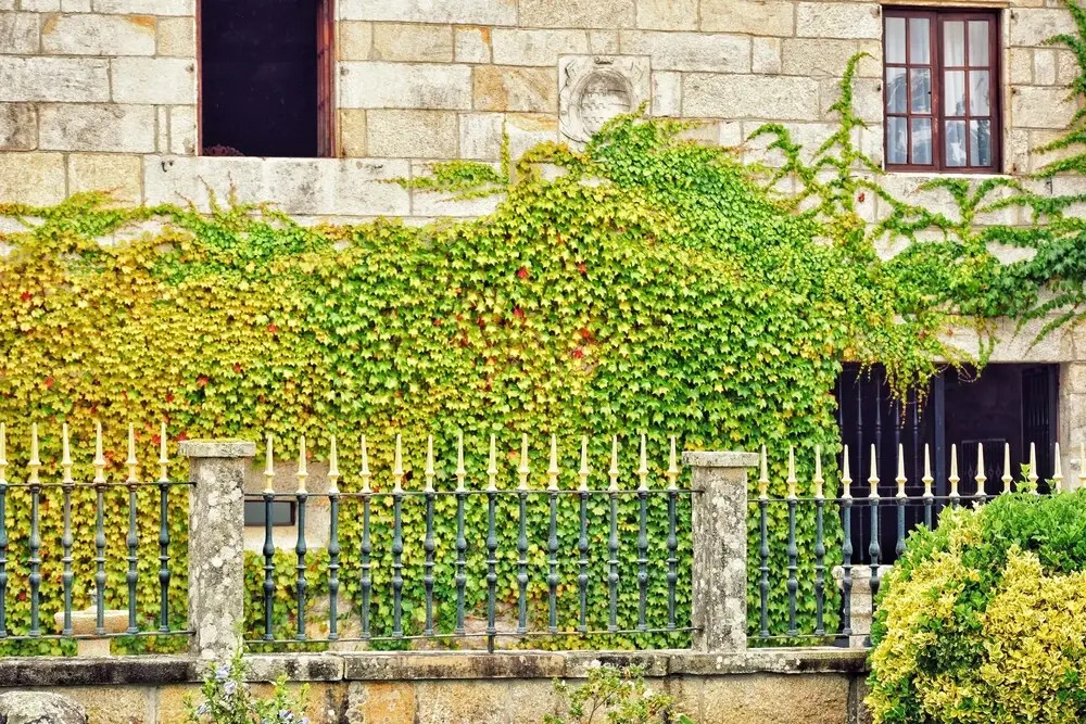 Pazo Revel Hotel & Resort