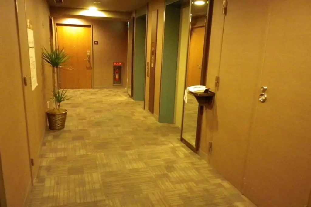 Dormy Inn Akihabara