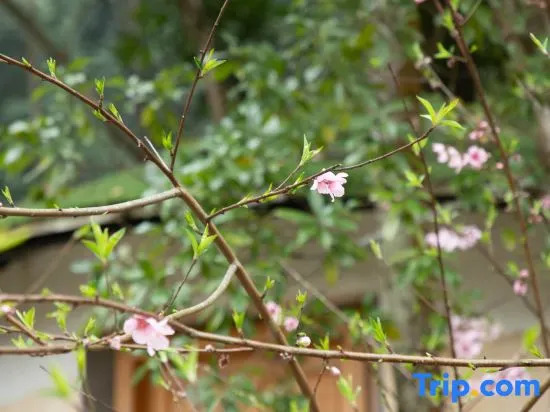 Guangzhou Shijian Xiangjing Qixidi Homestay