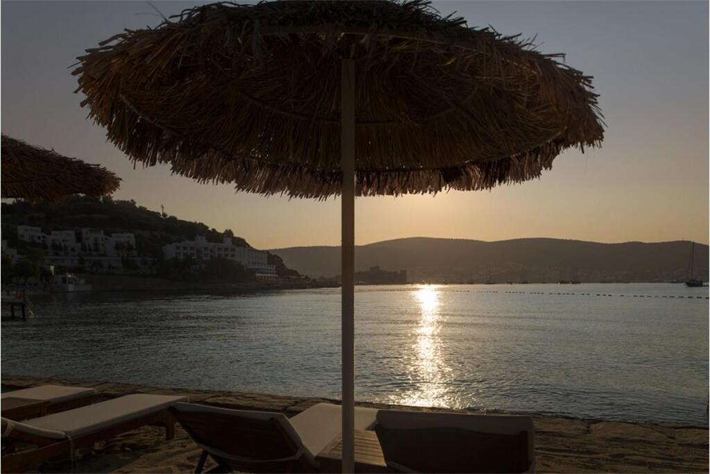 Отель Agaya Bodrum
