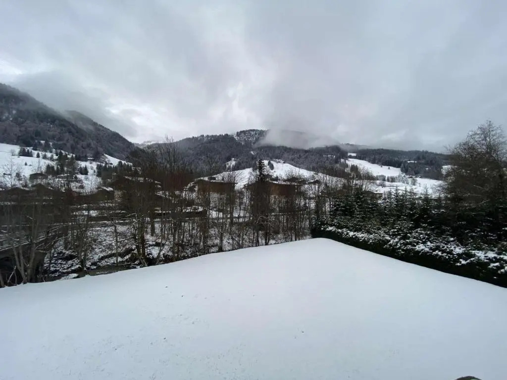 Appartement Praz-sur-Arly, 1 pièce, 4 personnes - FR-1-603-32