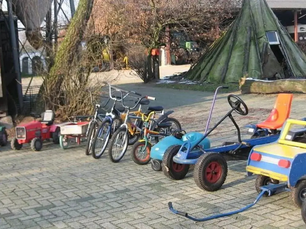 Family Farmhouse with go-karts