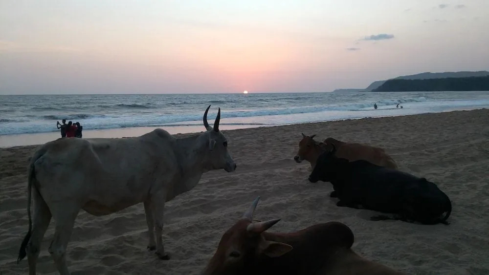 Goa Cottages Agonda