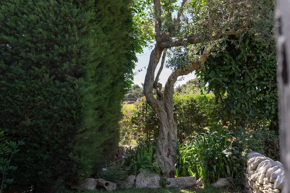 L Isola Nell Isola Country House