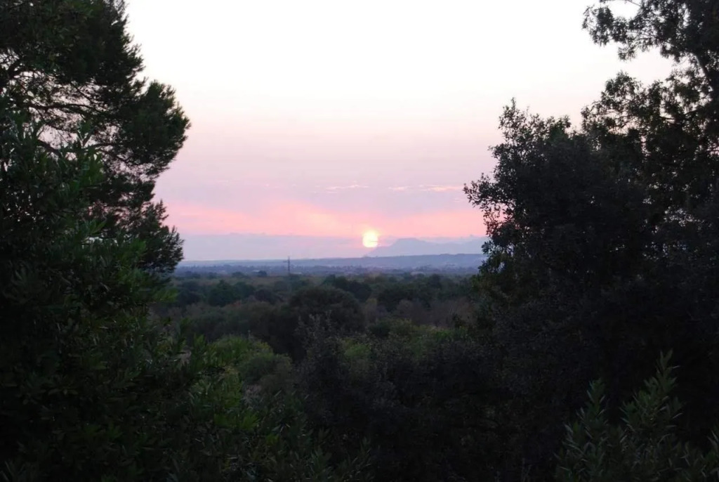 Finca Son Vivot