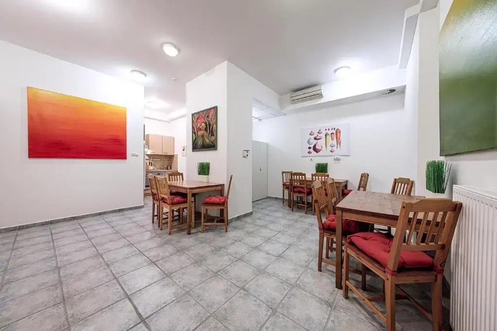 Gozsdu Spacious Apartment