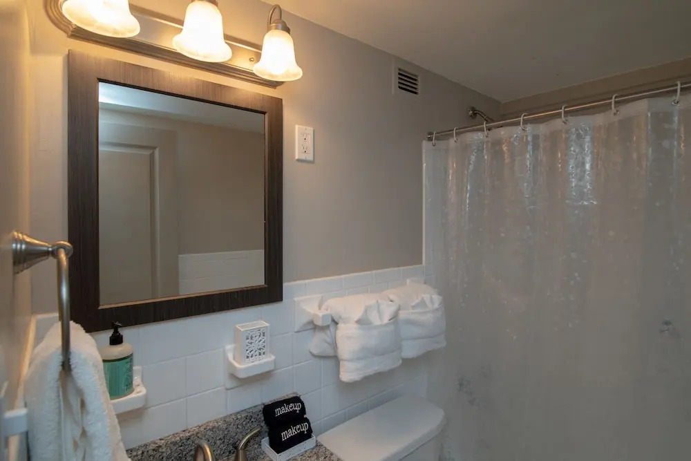 1 Bedroom Downtown Condo