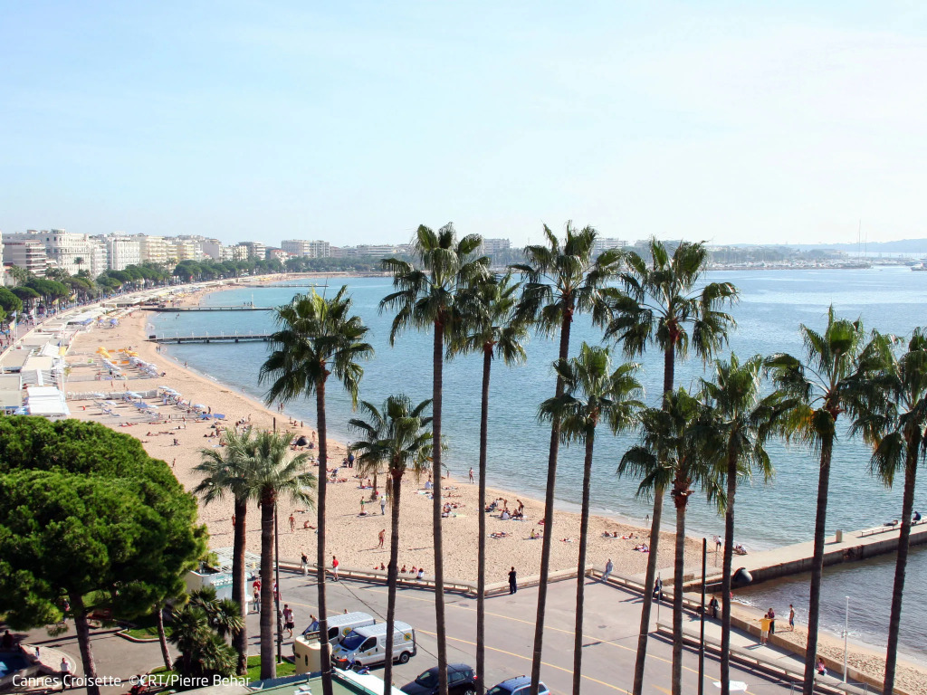VANEAU Somptueux appartement 3P proche de la Croisette et ses plages
