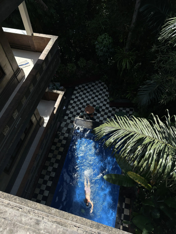 The Nest in Ubud