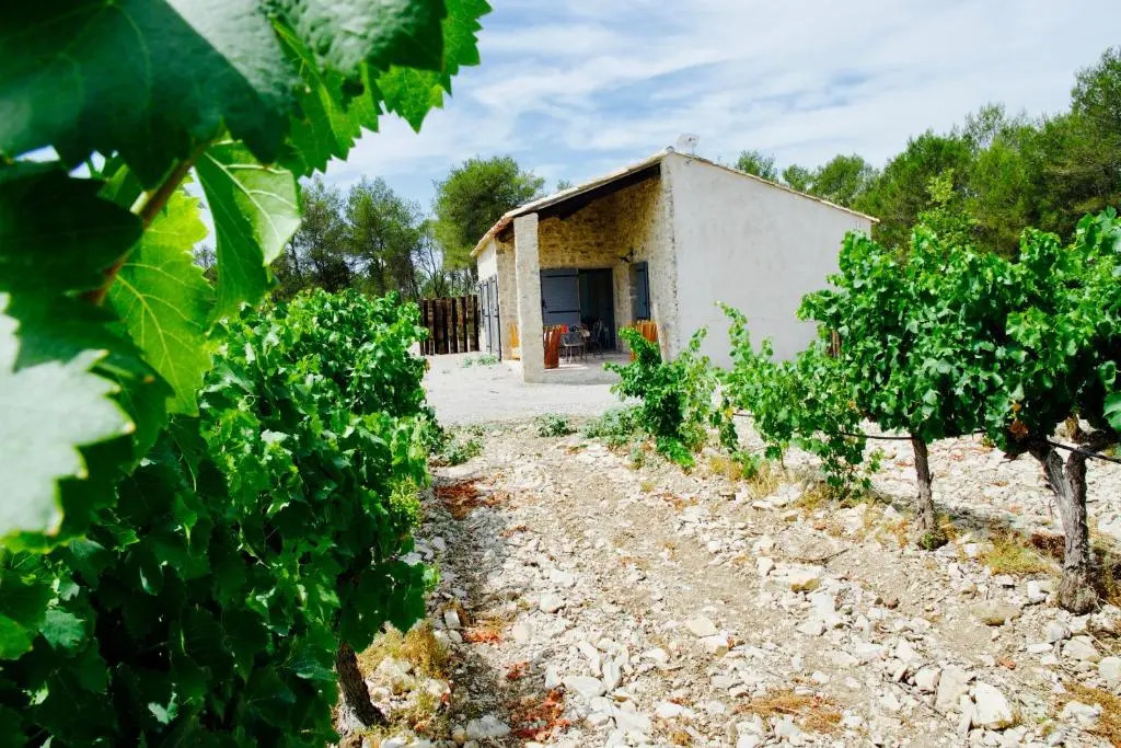 Les Lodges du Pic