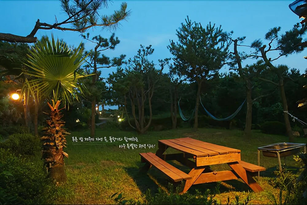 Seogwipo Log Village Pension