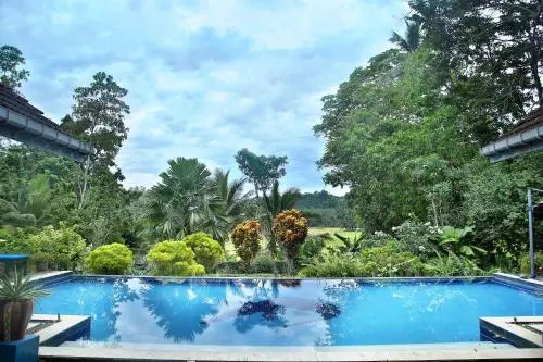 Lazy Lizard Villa