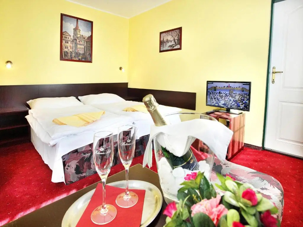 Hotel Milan Vopicka