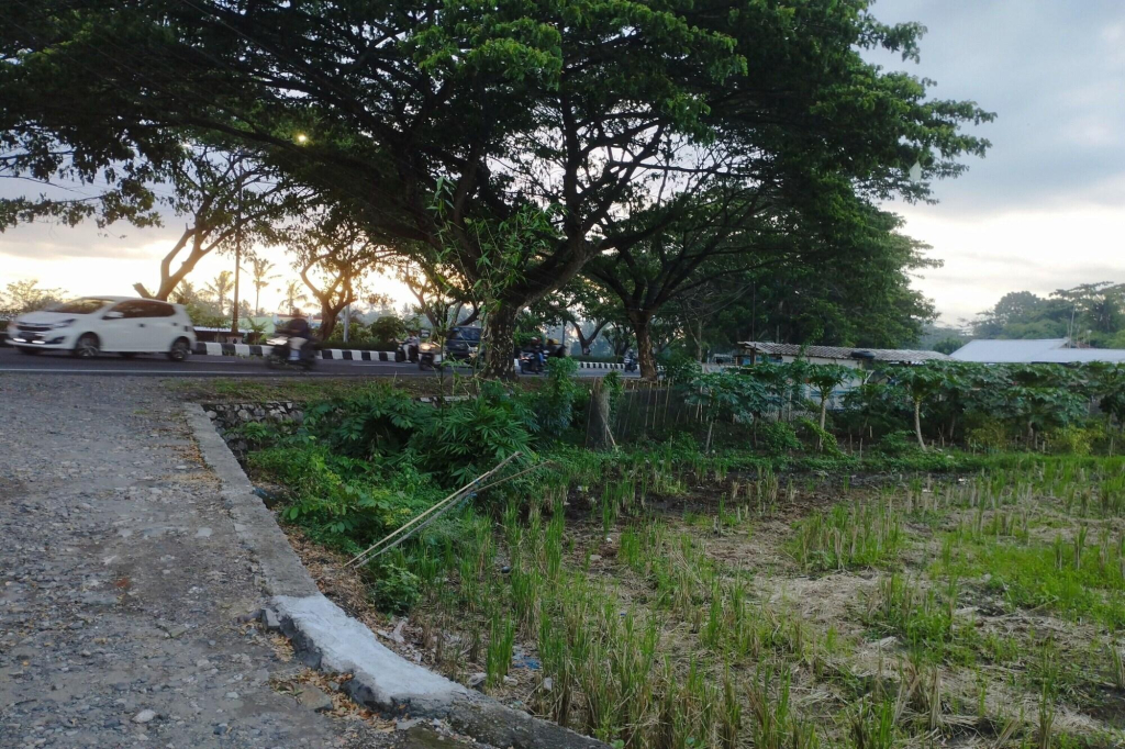 Hotel O Penginapan Mekar Sari Near PT. Lombok Menara Energygas