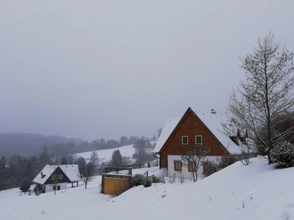 Private Pool Villa in Stupna