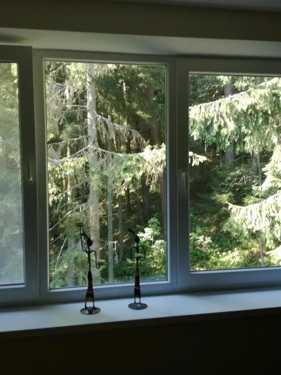 Family-friendly 2 rooms apartment with view to a forest