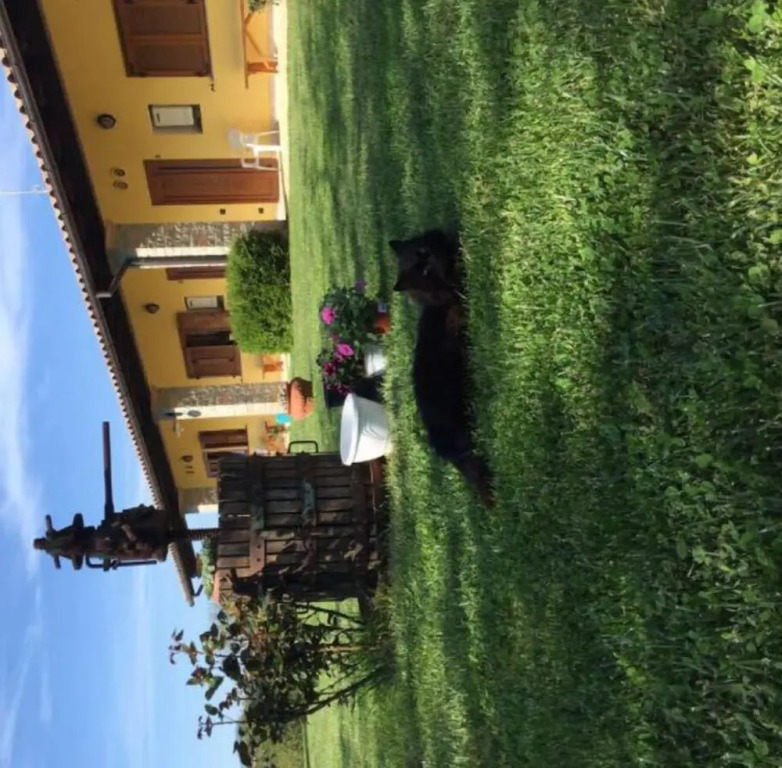 Agriturismo La Noce