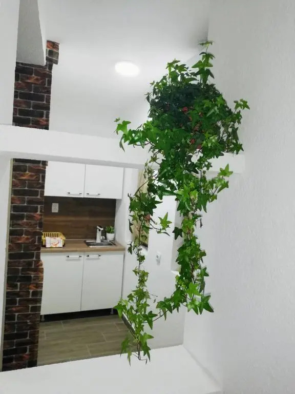 TOP 3 Apartments