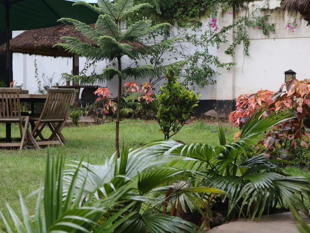 Tisa Suites & Lounge