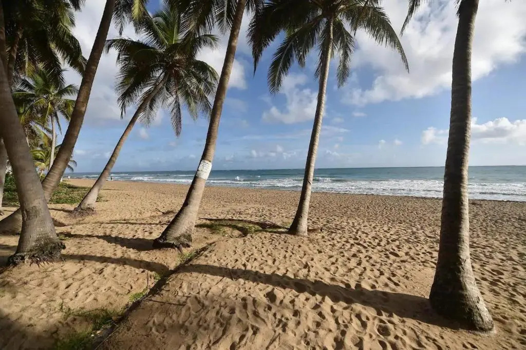 KASA Las Palmas studio apt for 2 OCEAN VIEW BEACHFRONT CONDO POOL