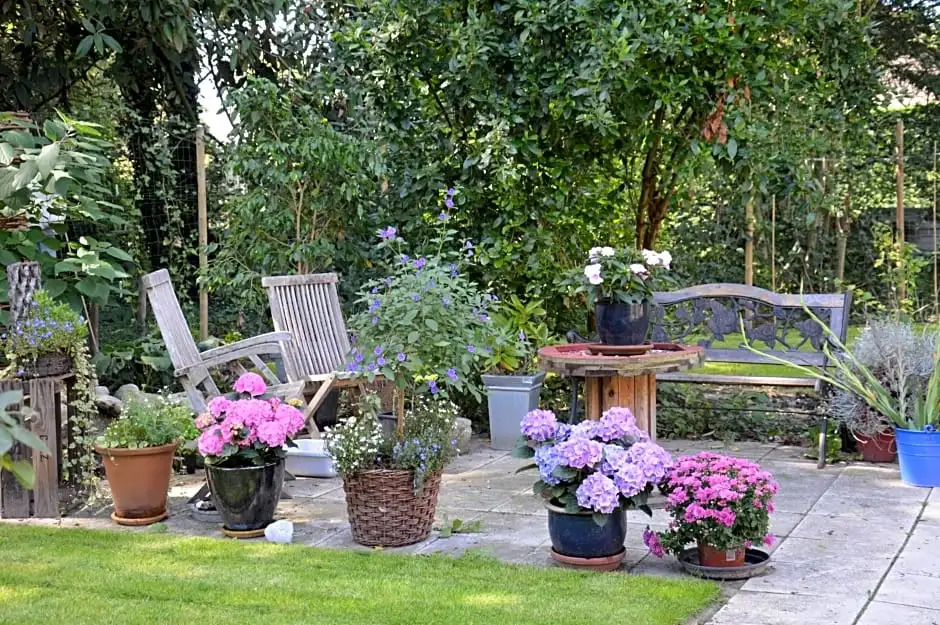 B & B Boezeneren