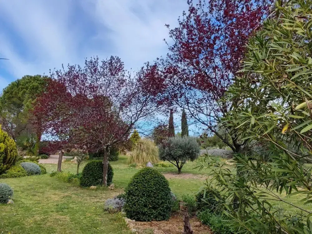 Spacious Holiday Home With Private Pool and Park
