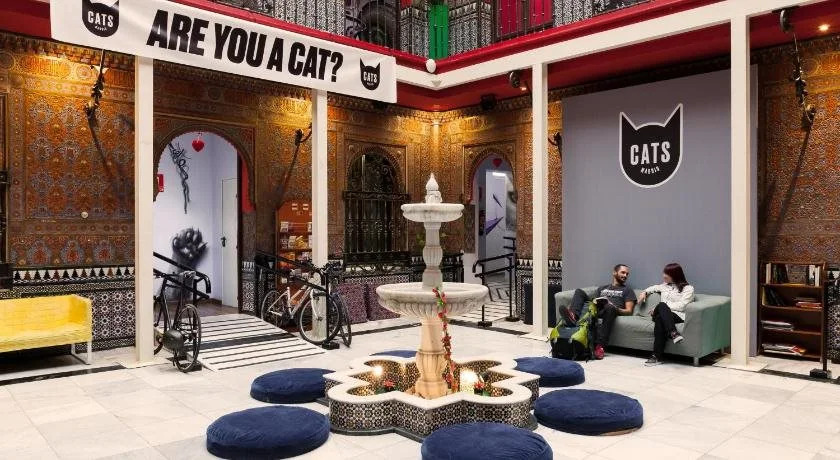 Cats Hostel Madrid Sol