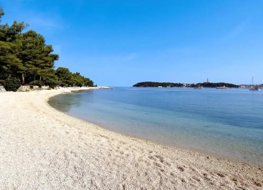 Charming Villa With Heated Pool Near Rovinj