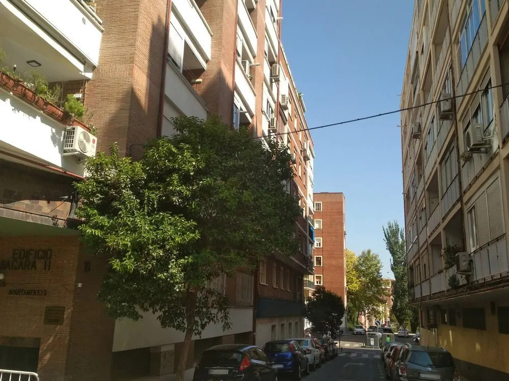 Apartamentos Duque II