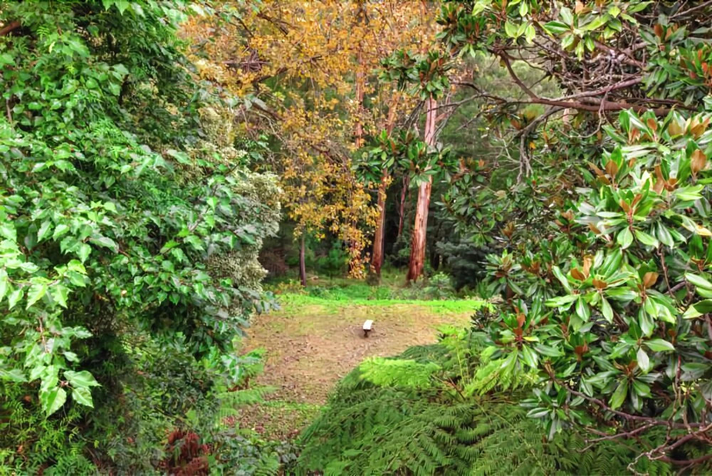 Wildwood Lodge